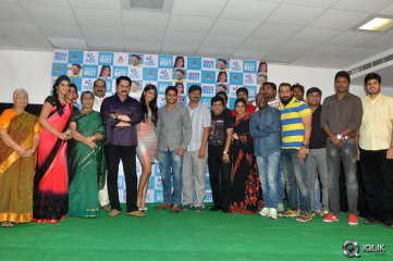 Oka Laila Kosam Movie Success Meet